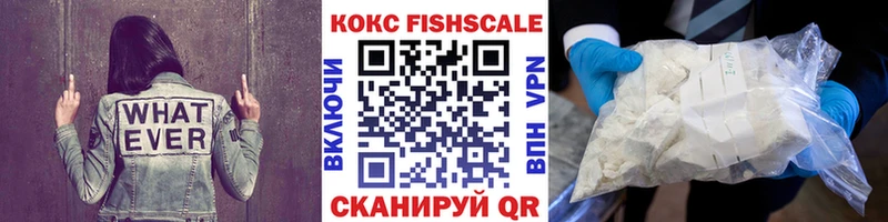 Cocaine FishScale  Заводоуковск 