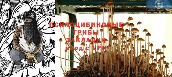 кристаллы Богданович