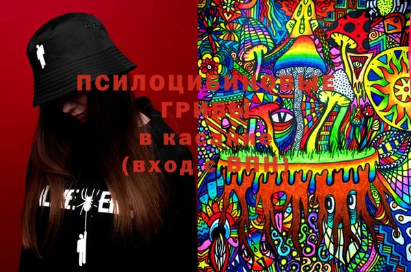 прущая мука Богородск
