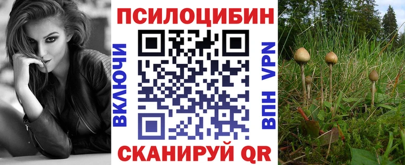 купить наркоту  Заводоуковск  мега вход  Галлюциногенные грибы прущие грибы 